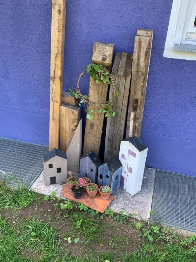 Gaensebluemchen 1 Apartment Daisy 1 Walsdorf  Buitenkant foto