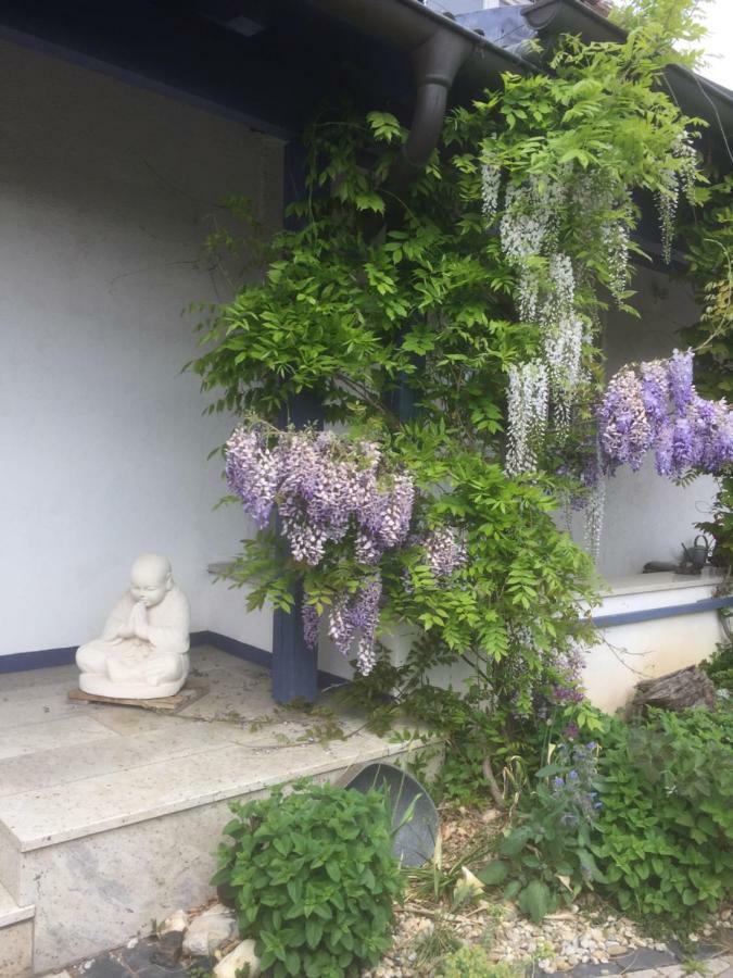 Gaensebluemchen 1 Apartment Daisy 1 Walsdorf  Buitenkant foto